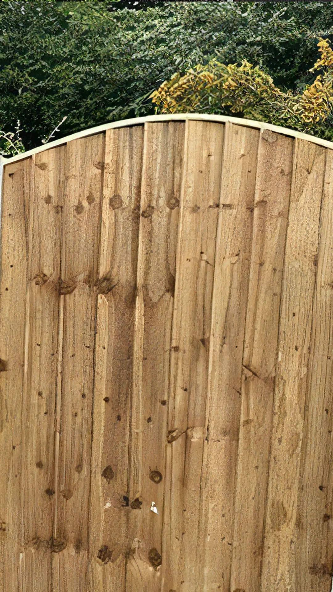 Garden Fencing